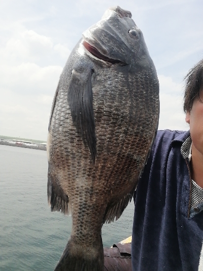 久しぶりにヘチ釣り