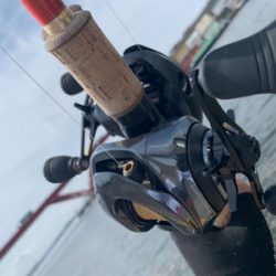 やっぱりツバス、バラしたのはヤツか!?