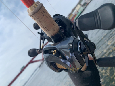 やっぱりツバス、バラしたのはヤツか!?