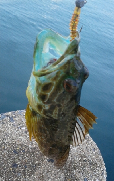 アナハゼの猛攻