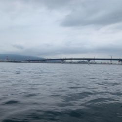 ホーム久々シーバスからの神戸空港ツバスは。