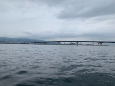 ホーム久々シーバスからの神戸空港ツバスは。