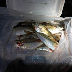 クーラー満タン