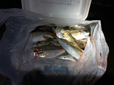 クーラー満タン