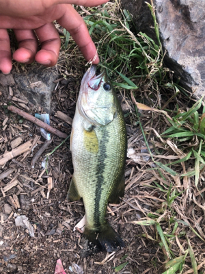 学校帰りの1時間