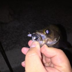 プライベート釣り場より