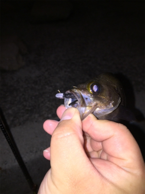 プライベート釣り場より