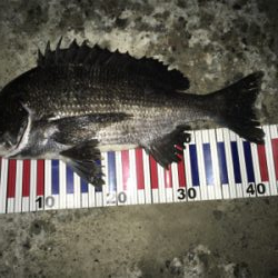 雨上がりアゲアゲ