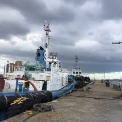 がっしひさにひき