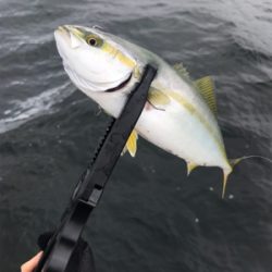 どこまでやってもツバス