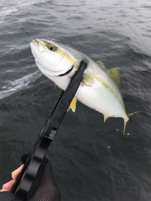 どこまでやってもツバス