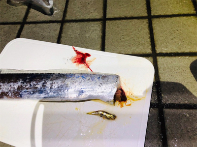 久しぶりのご馳走です