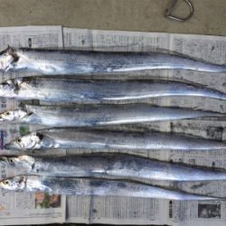 タチウオチェック