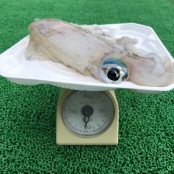 きっちり合わせたりました(^^)