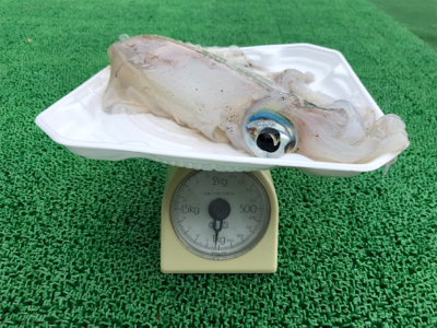 きっちり合わせたりました(^^)