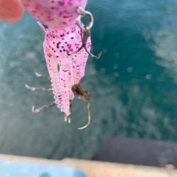 わがままなツバス