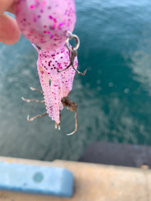 わがままなツバス