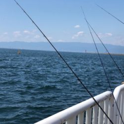 ツバスツバスツバス