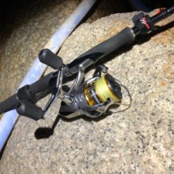 メバリングのはずが・・・