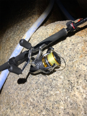 メバリングのはずが・・・