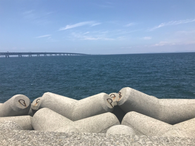 団子釣りでツバス