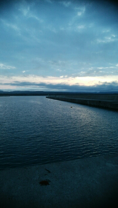 初！！春アオリ　キロアップ！！！