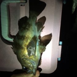 爆風ライトゲーム