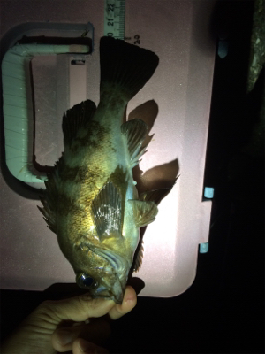 爆風ライトゲーム