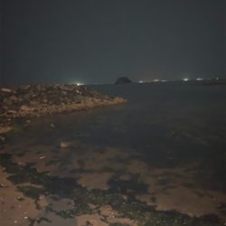 75センチシーバス！