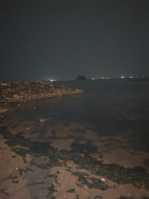 75センチシーバス！