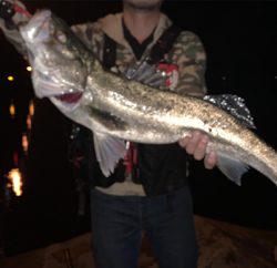 いつもの場所にて