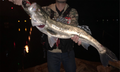 いつもの場所にて