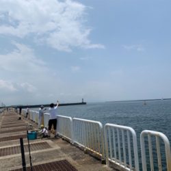 ジグサビキでツバス