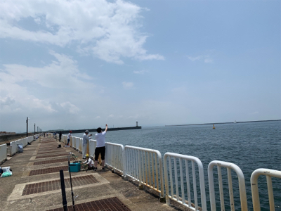 ジグサビキでツバス