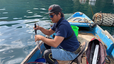 つりぴぃぽぉ釣果