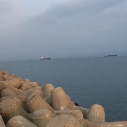 久しぶりの太刀魚君