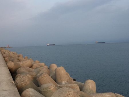 久しぶりの太刀魚君