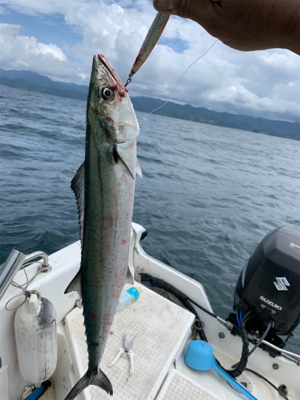 マイボートでイカ調査&キャスティン…