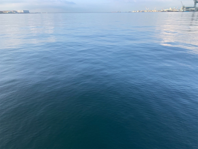 相変わらずな僕。