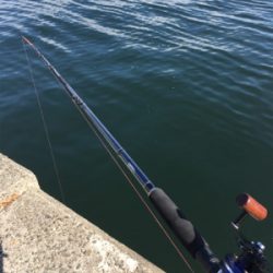 キロ超えならず…