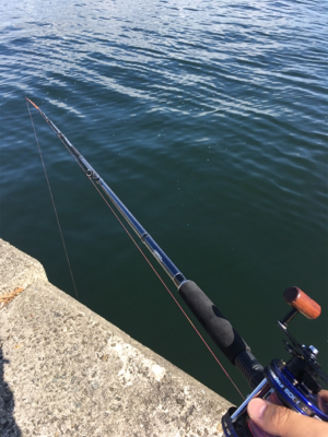 キロ超えならず…