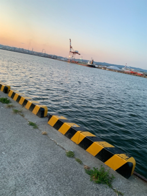 今年は早いタチウオ‼︎