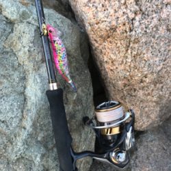 仕事帰りに短時間エギング