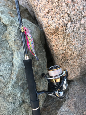 仕事帰りに短時間エギング