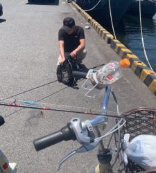 大真鰯の醸す夢は