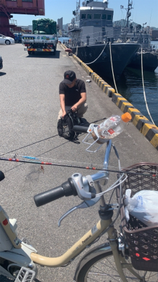 大真鰯の醸す夢は