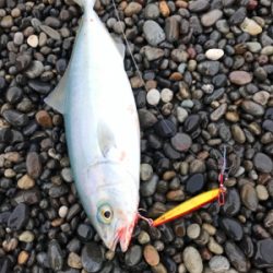 七里御浜ショアジギング