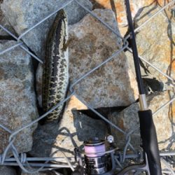 赤ちゃんだらけ