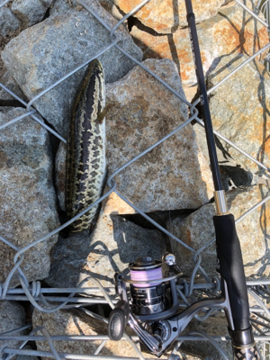 赤ちゃんだらけ