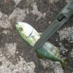 スーパーライトショアジギング